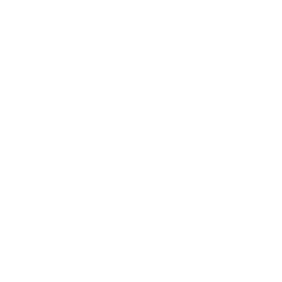 Model Portfolios Icon